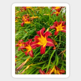 Crimson Lilies Sticker